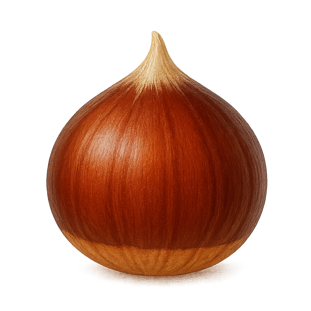 Chestnut