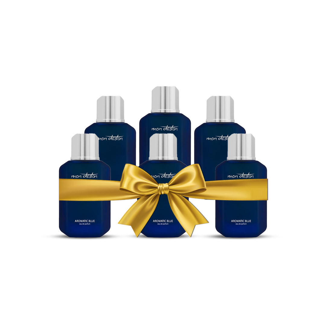 Mon Destin Aromatic Blue EDP For Men 100ML - Value pack