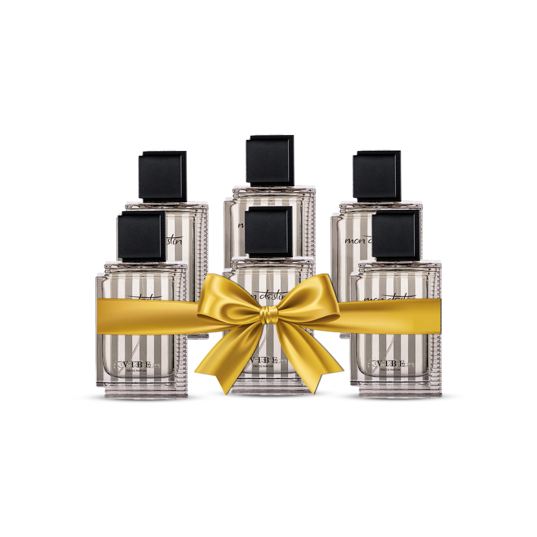 Mon Destin Vibe EDP For Men 100ML - Value pack