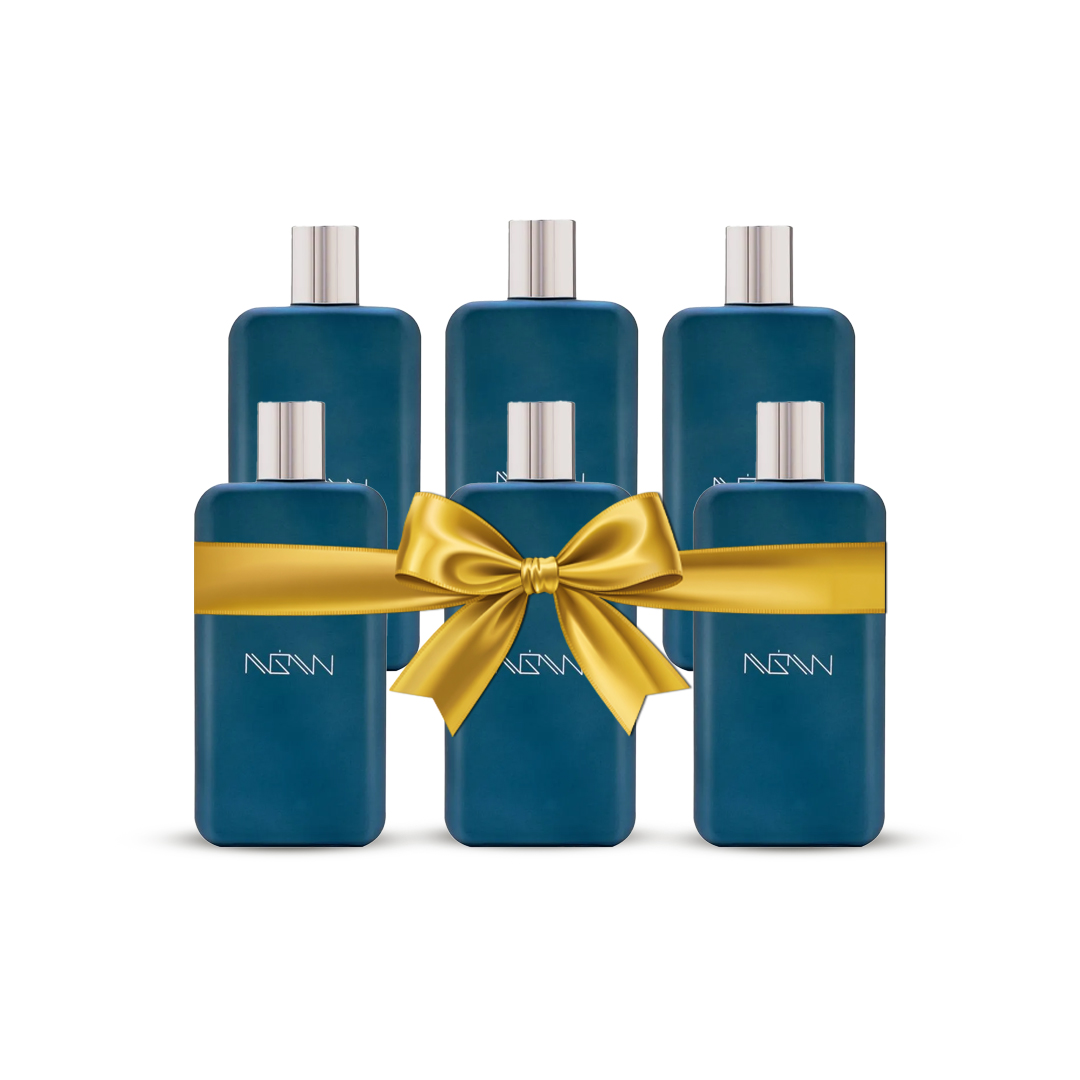 NGW Blue EDP For Men 100ML - Value pack