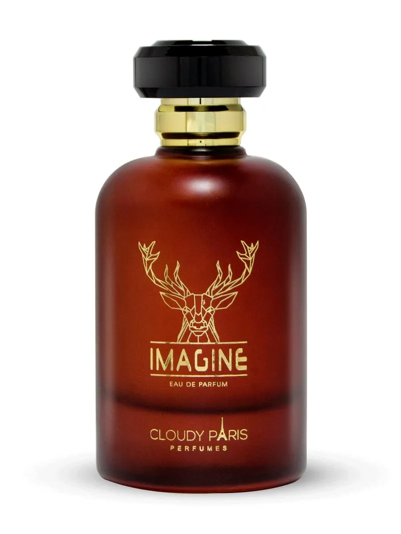 Cloudy Paris Imagine EDP For Men 100ML