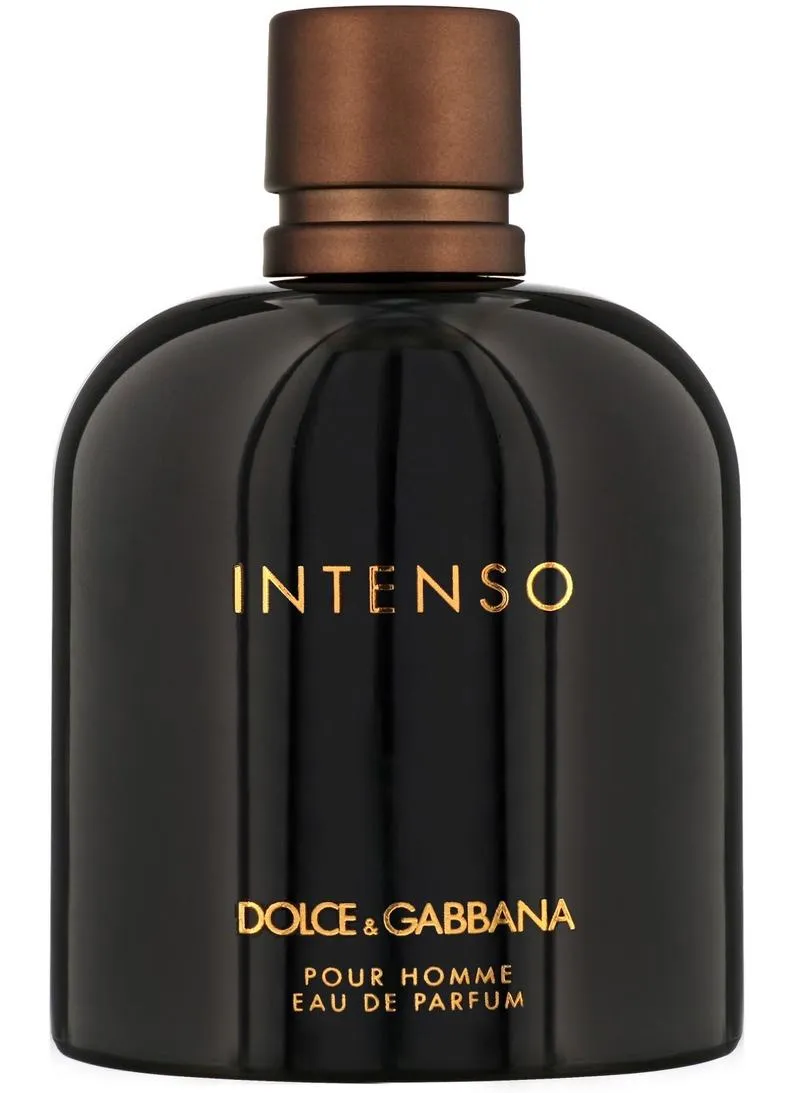D&G Intenso EDP For Men 125ML