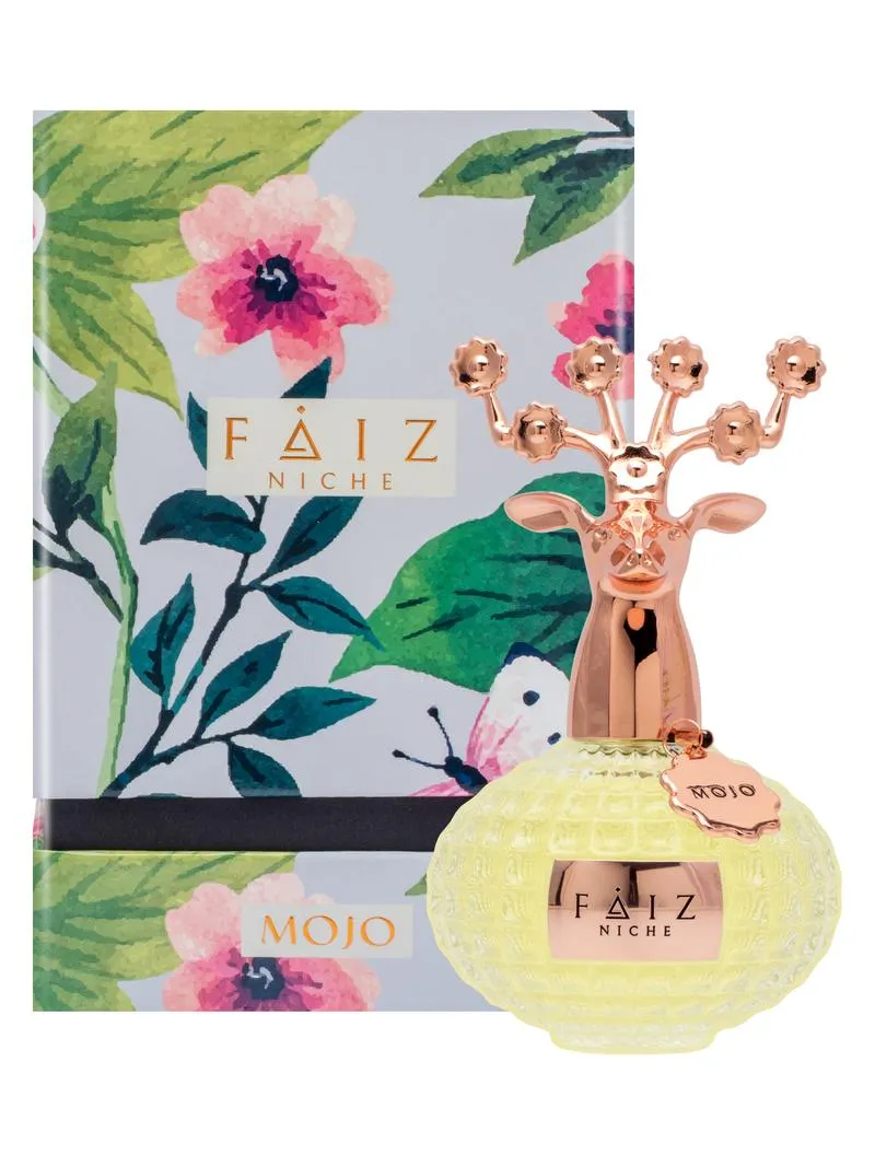 Faiz Niche Mojo Extrait De Parfum Unisex 100ML