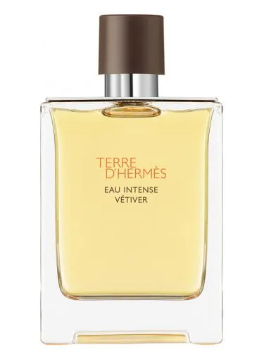 Hermes Terre D'Hermes Eau Intense Vetiver EDP For Men 200ML