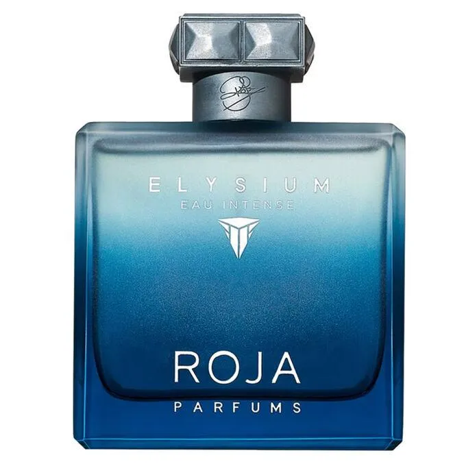 Roja Parfums Elysium Intense EDP For Men 100ML