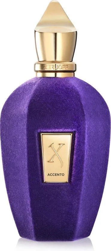 Xerjoff Accento EDP Unisex 100ML