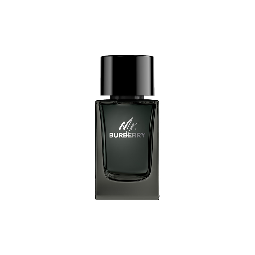 Burberry Mr. Burberry EDP For Men 100ML