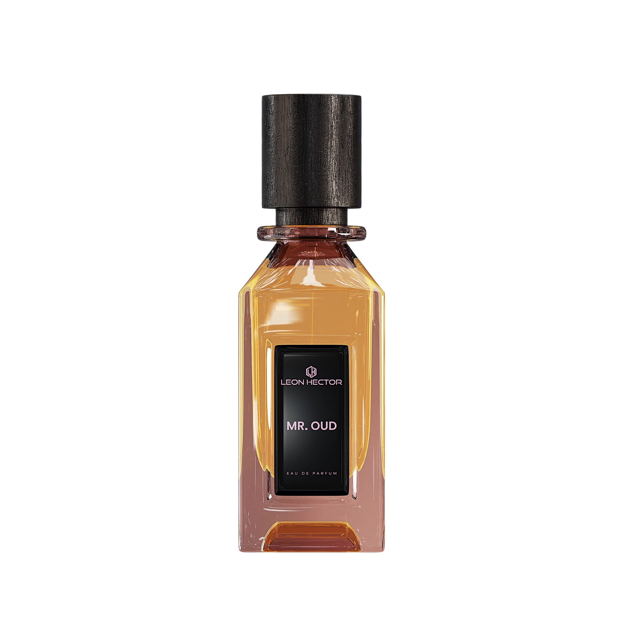 Leon Hector MR.Oud EDP Unisex 110ML