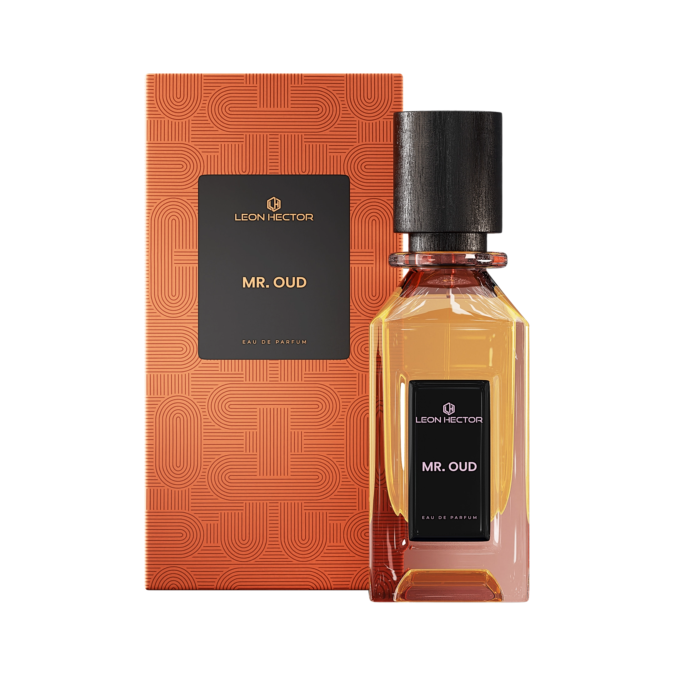 Leon Hector MR.Oud EDP Unisex 110ML